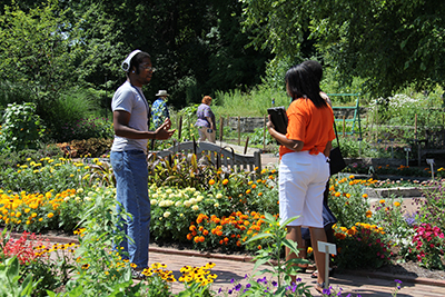 Be A Tourist Without Leaving Home Flint  and Genesee 