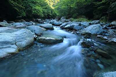 Study: Natural Sounds Boost Employee Moods, Cognitive Ability