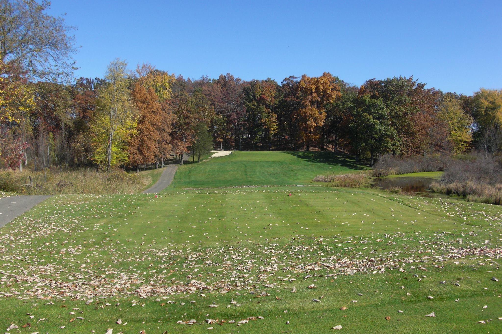 Tyrone Hills Golf Club, Fenton, Michigan Golf course information and