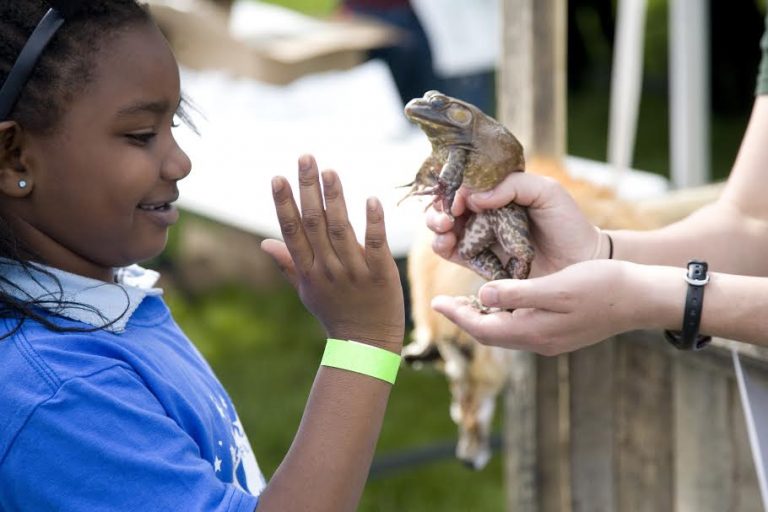 Summer Learning: Hands-on Experience