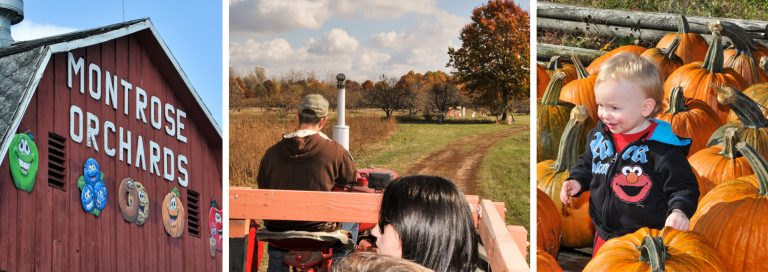 Montrose Orchards, Montrose, Michigan, Flint and Genesee County