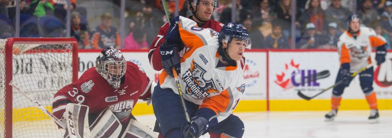 Flint Firebirds