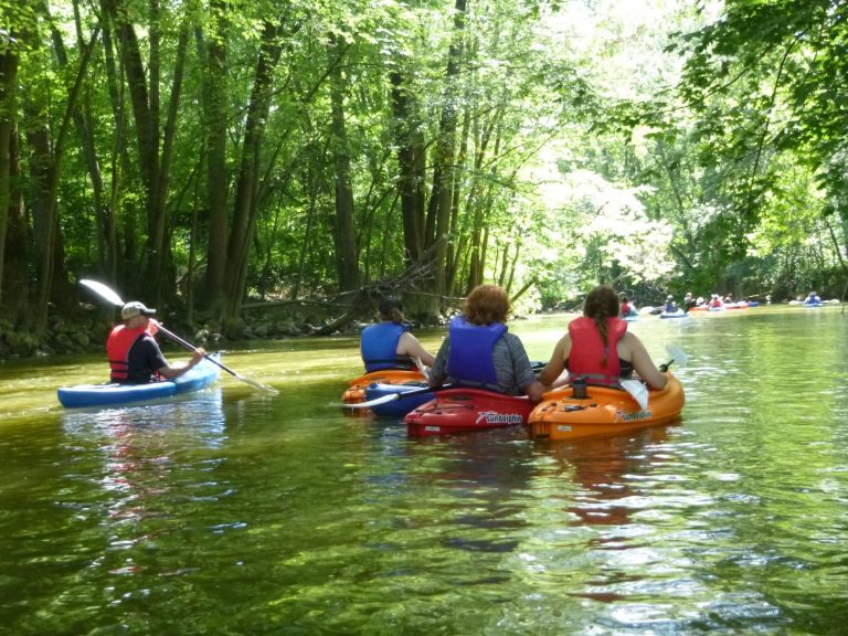 Explore the Beauty of Flint & Genesee Kayaking the Flint River
