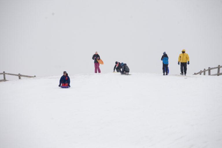 Snow Day? Experience Your Local Parks