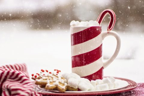 Holiday Resource Guide: How to Access Local Resources During the Holidays