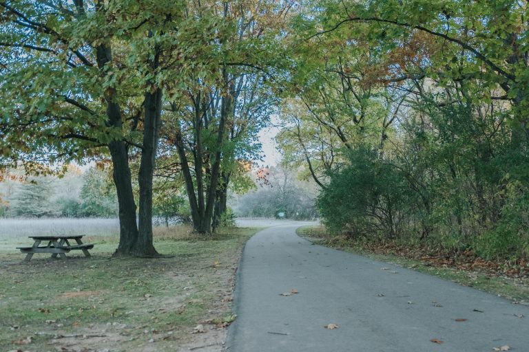 Outdoor Activities You Can Do at a Distance in Flint & Genesee