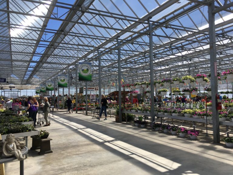 Bordine's of Grand Blanc is a greenhouse and garden center.