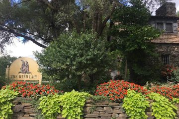 The Weed Lady, greenhouse, garden center, landscaping, Grand Blanc, Michigan