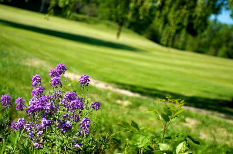 Kearsley Lake Golf Course, Flint, Michigan