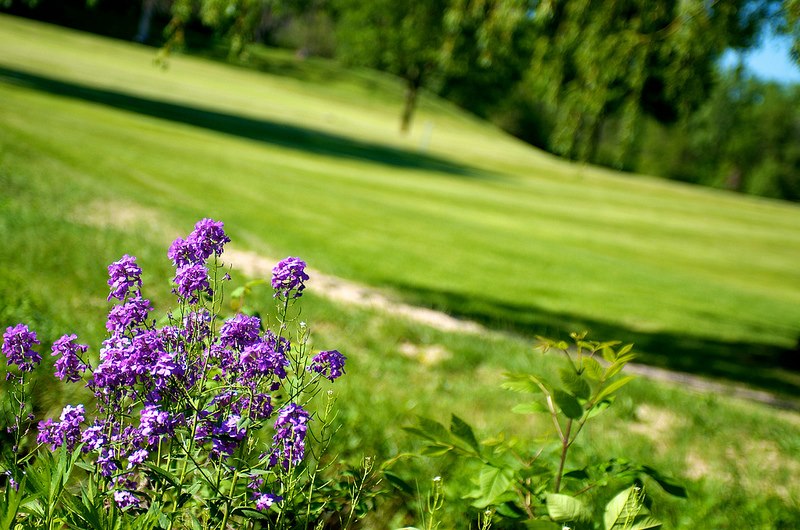 Kearsley Lake Golf Course Flint & Genesee Group