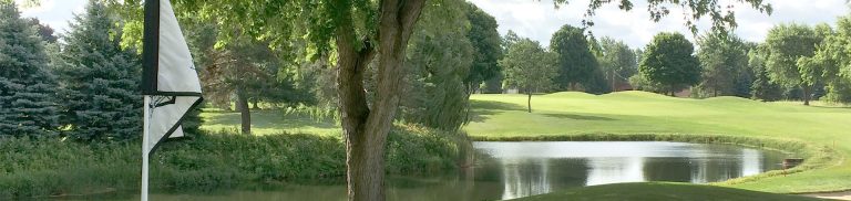 Spring Meadows Country Club, Linden, Michigan