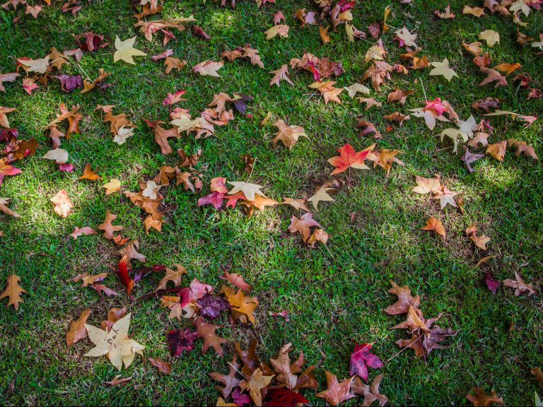 A Seasoned Experience: Students Explore Season Changes