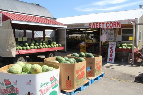 5 Places to Get Local Produce