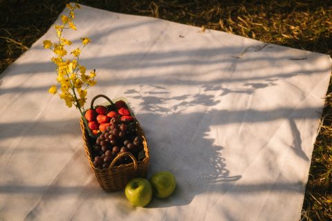 Places to Picnic in Flint & Genesee